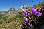 MONTI VINDIOLO e VETRO ad anello da Zorzone-Pian Bracca in VAL VEDRA il 13 giugno 2019 - FOTOGALLERY